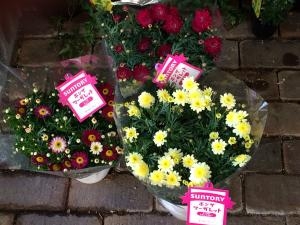 本日、入荷しました。｜「ハナコー生花」　（三重県志摩市の花キューピット加盟店 花屋）のブログ
