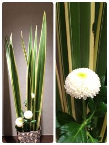 なんの音？｜「ハナコー生花」　（三重県志摩市の花キューピット加盟店 花屋）のブログ
