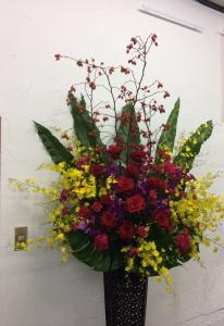 えっ今のは？｜「ハナコー生花」　（三重県志摩市の花キューピット加盟店 花屋）のブログ