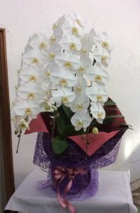 渦見潟御厨祭｜「ハナコー生花」　（三重県志摩市の花キューピット加盟店 花屋）のブログ