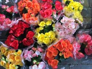 花鉢 入荷しましたよ｜「ハナコー生花」　（三重県志摩市の花キューピット加盟店 花屋）のブログ