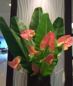 今週のいけ込み｜「ハナコー生花」　（三重県志摩市の花キューピット加盟店 花屋）のブログ