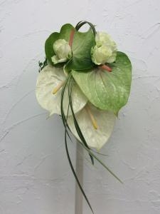 えー⁈｜「ハナコー生花」　（三重県志摩市の花キューピット加盟店 花屋）のブログ