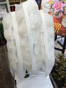 花鉢入荷しました。｜「ハナコー生花」　（三重県志摩市の花キューピット加盟店 花屋）のブログ