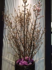 今週のいけこみ｜「ハナコー生花」　（三重県志摩市の花キューピット加盟店 花屋）のブログ