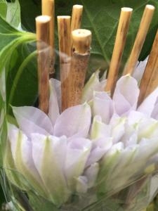 家元さんたちが｜「ハナコー生花」　（三重県志摩市の花キューピット加盟店 花屋）のブログ