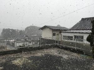 雪が降って降ってきましたー！｜「ハナコー生花」　（三重県志摩市の花キューピット加盟店 花屋）のブログ