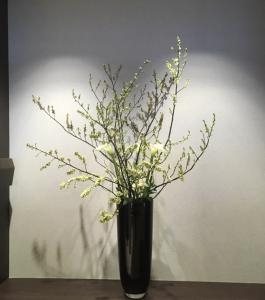 今週のお花｜「ハナコー生花」　（三重県志摩市の花キューピット加盟店 花屋）のブログ