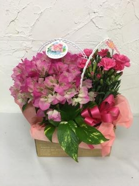 母の日ギフト1｜「ハナコー生花」　（三重県志摩市の花キューピット加盟店 花屋）のブログ