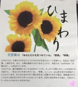 荷物の中から、｜「ハナコー生花」　（三重県志摩市の花キューピット加盟店 花屋）のブログ
