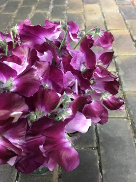 冷蔵庫の中がいい香り♫｜「ハナコー生花」　（三重県志摩市の花キューピット加盟店 花屋）のブログ