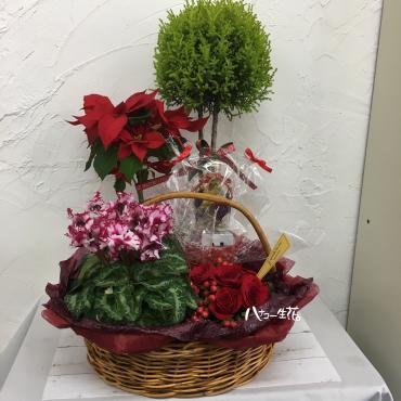 冬のギフトの花お届け｜「ハナコー生花」　（三重県志摩市の花キューピット加盟店 花屋）のブログ