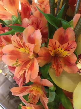頑張ったお花たち｜「ハナコー生花」　（三重県志摩市の花キューピット加盟店 花屋）のブログ