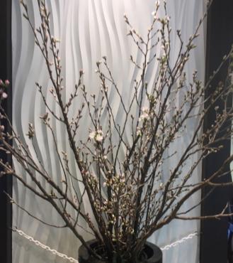 初チャレンジ｜「ハナコー生花」　（三重県志摩市の花キューピット加盟店 花屋）のブログ