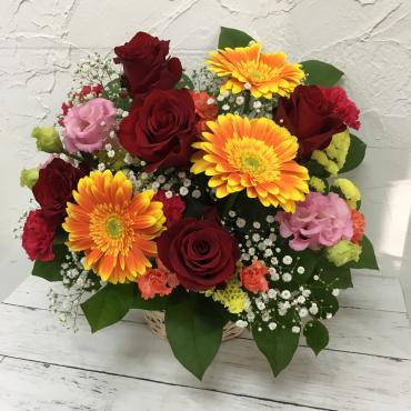 お祝いのアレンジお届けしました｜「ハナコー生花」　（三重県志摩市の花キューピット加盟店 花屋）のブログ