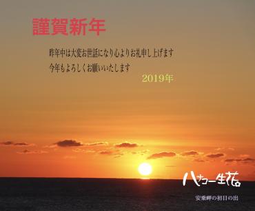 謹賀新年｜「ハナコー生花」　（三重県志摩市の花キューピット加盟店 花屋）のブログ