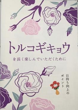 トルコギキョウを長く楽しんでいただくには｜「ハナコー生花」　（三重県志摩市の花キューピット加盟店 花屋）のブログ