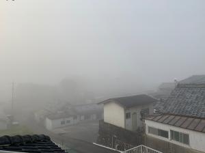 朝起きたら一面濃霧で見えませんでした。｜「ハナコー生花」　（三重県志摩市の花キューピット加盟店 花屋）のブログ