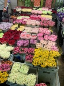 日本との違い｜「ハナコー生花」　（三重県志摩市の花キューピット加盟店 花屋）のブログ