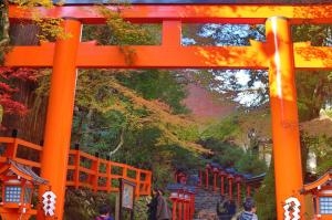 いい写真ですね｜「ハナコー生花」　（三重県志摩市の花キューピット加盟店 花屋）のブログ