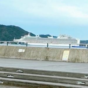 大きな客船｜「ハナコー生花」　（三重県志摩市の花キューピット加盟店 花屋）のブログ