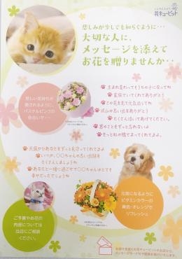 ペットのお供花｜「ハナコー生花」　（三重県志摩市の花キューピット加盟店 花屋）のブログ