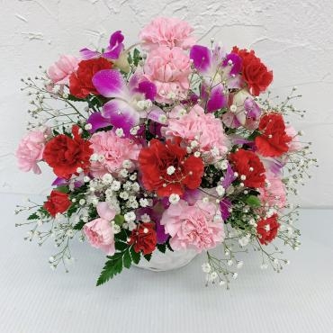 スイートお届け｜「ハナコー生花」　（三重県志摩市の花キューピット加盟店 花屋）のブログ