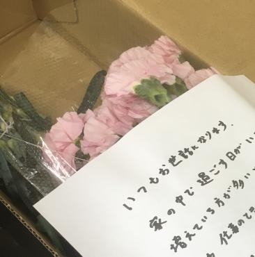 こんな風に手書きの手紙ってほっこりしますね 花屋ブログ 三重県志摩市の花屋 ハナコー生花にフラワーギフトはお任せください 当店は 安心と信頼の 花キューピット加盟店です 花キューピットタウン