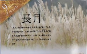 9月｜「ハナコー生花」　（三重県志摩市の花キューピット加盟店 花屋）のブログ