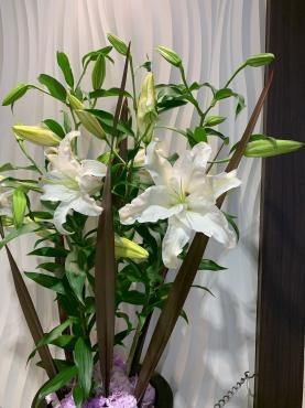 いけこみの花｜「ハナコー生花」　（三重県志摩市の花キューピット加盟店 花屋）のブログ