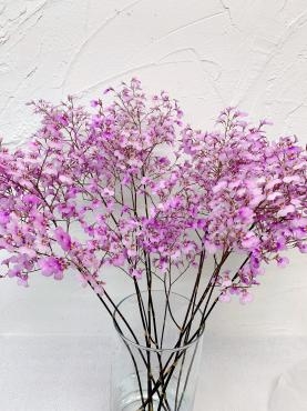 ピンクのオンシジューム｜「ハナコー生花」　（三重県志摩市の花キューピット加盟店 花屋）のブログ