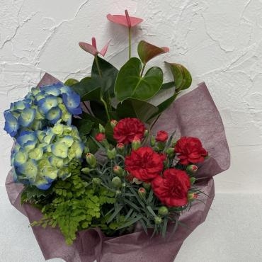 人気の寄せ鉢｜「ハナコー生花」　（三重県志摩市の花キューピット加盟店 花屋）のブログ