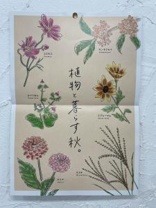 秋の気配がしてきましたね｜「ハナコー生花」　（三重県志摩市の花キューピット加盟店 花屋）のブログ