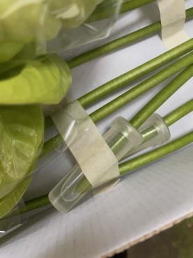 マスキングテープは剥がしやすい！｜「ハナコー生花」　（三重県志摩市の花キューピット加盟店 花屋）のブログ
