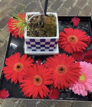 あそび　手水舎風の花｜「ハナコー生花」　（三重県志摩市の花キューピット加盟店 花屋）のブログ