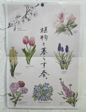 春のPOP 使わせていただきます｜「ハナコー生花」　（三重県志摩市の花キューピット加盟店 花屋）のブログ