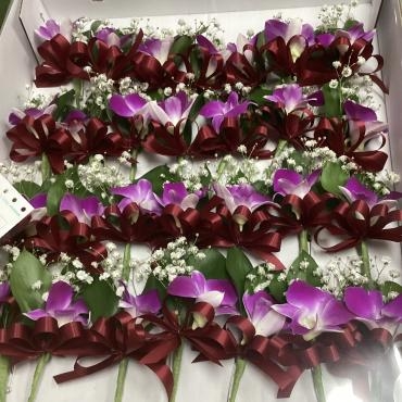 卒業生のコサージュ届けてきました｜「ハナコー生花」　（三重県志摩市の花キューピット加盟店 花屋）のブログ