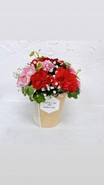 本日も無事終了しました｜「ハナコー生花」　（三重県志摩市の花キューピット加盟店 花屋）のブログ