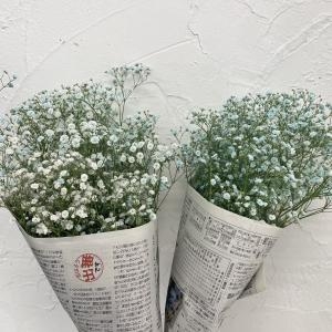 お花を染める②｜「ハナコー生花」　（三重県志摩市の花キューピット加盟店 花屋）のブログ