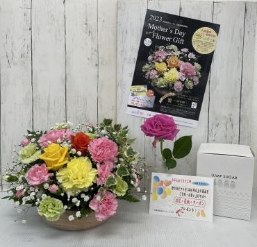 母の日ギフトお買い上げ、ご予約の方に｜「ハナコー生花」　（三重県志摩市の花キューピット加盟店 花屋）のブログ