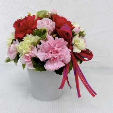 母の日商品配達始まりました〜｜「ハナコー生花」　（三重県志摩市の花キューピット加盟店 花屋）のブログ