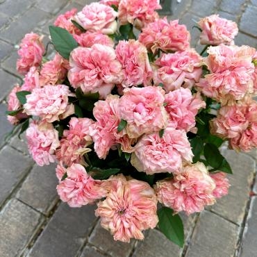 ラロックバラ、仕入れましたよ｜「ハナコー生花」　（三重県志摩市の花キューピット加盟店 花屋）のブログ
