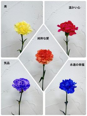 カーネーションの花言葉｜「ハナコー生花」　（三重県志摩市の花キューピット加盟店 花屋）のブログ