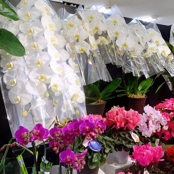 「ハナコー生花」　（三重県志摩市）の花屋店舗写真1